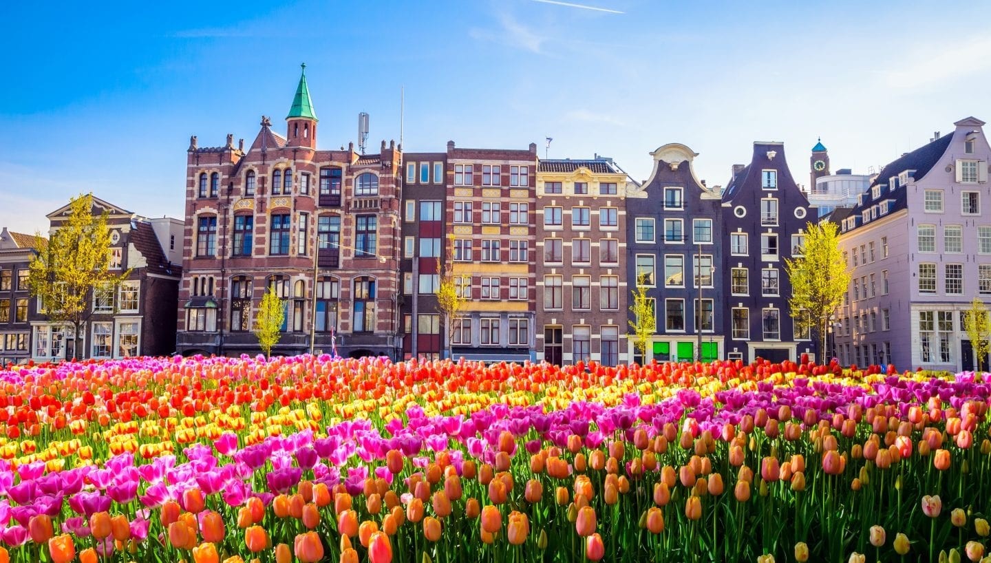 پایتخت هلند آمستردام